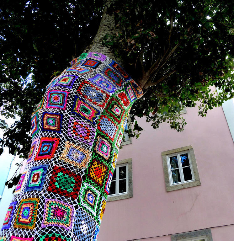 Apartment Dreaming - Trigueiros *